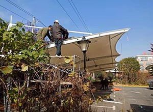 新鄉膜結構車棚【新運交運公司充電樁車棚】等案例總結